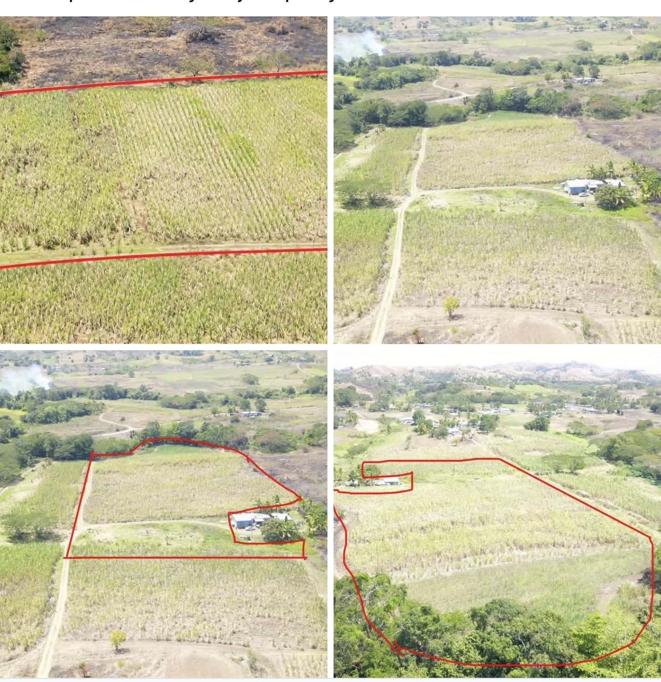 Freehold Land