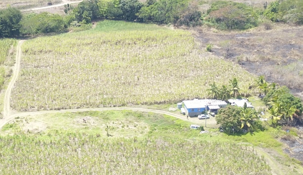 View of Freehold Land
