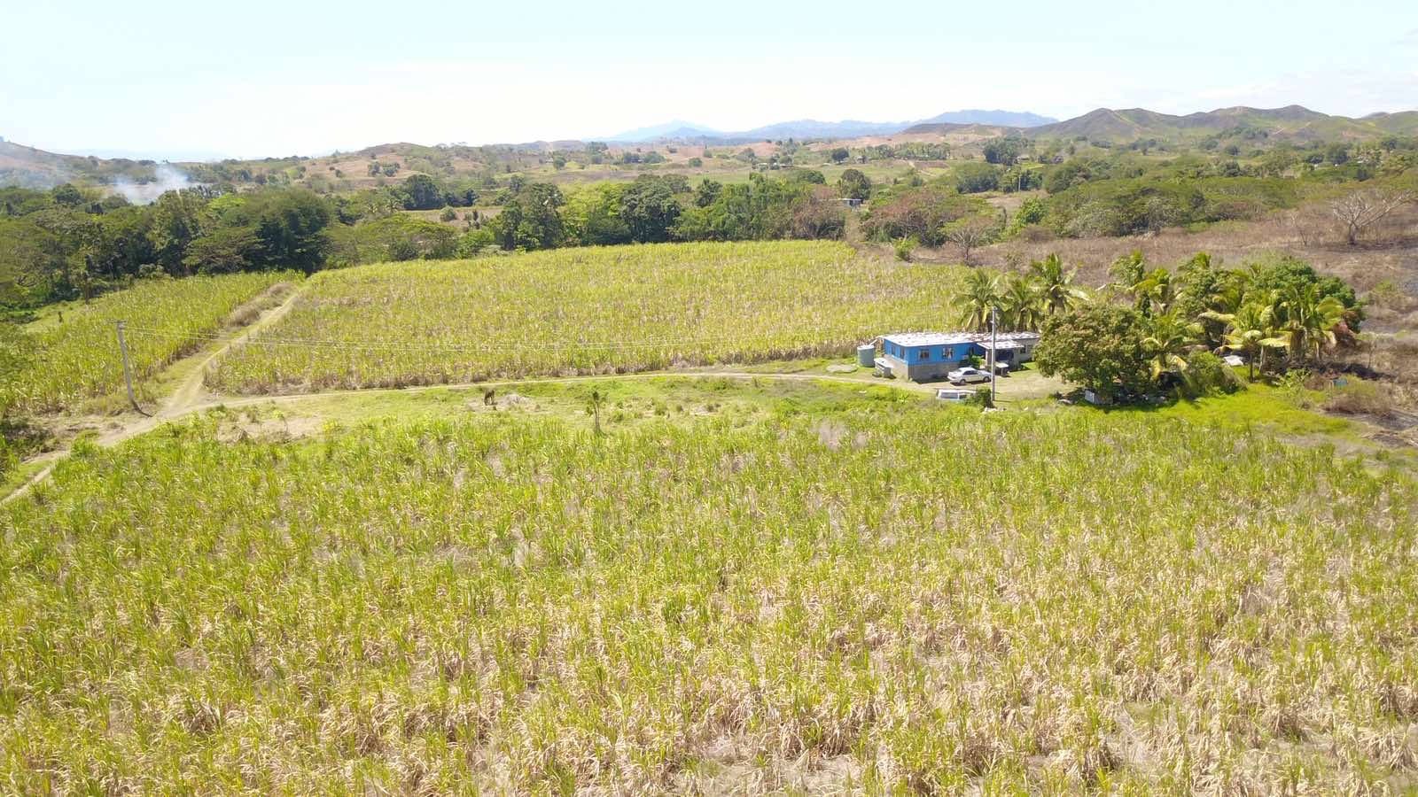 View of Freehold Land