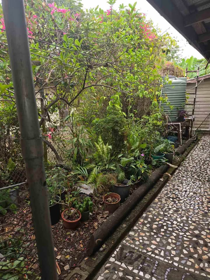 View of 3 BEDROOMS HOUSE - (IDEAL FOR FIRST HOME BUYERS!!)